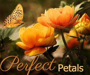 perfect petals